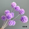 Hierba de Amante Flor Eterna Flor Real Natural Ramo de Flores Eternas Caja de Regalo para el Día de San Valentín con Arreglo Floral de Aromaterapia Especial al por Mayor