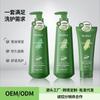 Shampoo Han Ji Controle de Oleosidade Fragrância Suave 500ml Gel de Banho Condicionador Fabricante Atacado Cuidados Domésticos Combinação