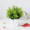 Venta caliente transfronteriza planta de simulación planta falsa planta verde interior y exterior decorativa planta en maceta de plástico 19 mallas planta en maceta de hierba Luo Yang