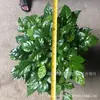 Venta al por mayor Planta de Flor de Interior Plantas en Maceta Árbol Feliz Árbol Rico Tesoro Verde Planta Verde Plantas en Maceta Florales de Balcón y Plantas Verdes