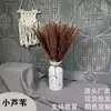 Flores Secas de Juncia Pequeña, Hierba de Pampa, Ramilletes de Juncia Pequeña al por Mayor, Ramilletes para Boda y Decoración del Hogar, Arreglos Florales DIY