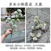 Cruzamento de Fronteira Novo Produto Colmeia Artificial Fruta Multi-Cabeça Pequena Fruta Colmeia Corredor de Casamento Portátil Casa Decoração Macia Flores Artificiais Atacado