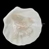 Acrílico Color AB Chapado Cola de Fénix Mariposa Hecho a Mano DIY Accesorios para Joyería Tendencia Suministro para Transmisiones en Vivo de TikTok Disponible Ahora