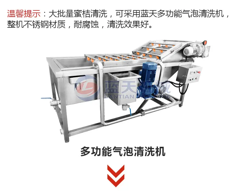 砂仁(20盘)_21.jpg