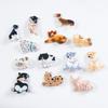 Gurex Clip para el Cabello Serie de Animales de Dibujos Animados Lindos para Mujeres Dulce Natural Clip para Mechones Sueltos Clip de Pato Japonés y Coreano Accesorios para el Cabello
