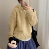 Cardigã com Capuz de Tricô Trançado com Zíper Estilo Coreano para Mulheres, Novo Estilo Outono e Inverno, Estilo Preguiçoso, Casaco Suéter Solto e Macio para Mulheres