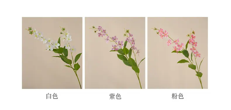 垂丝茉莉_05.jpg