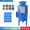 Procesador de agua integrado automático de proceso completo filtro completo tratamiento de agua integrado químico y físico equipo electrónico de descalcificación integrado
