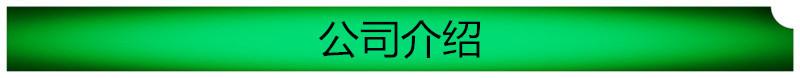 公司介绍