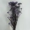 Envío Directo de Yunnan Flor Preservada Decoración Floral Ramo Hecho a Mano DIY Material Floral Arreglo Floral Hogar Fábrica Stock al por Mayor Naranja Rojo