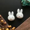 Acessórios de Resina Fofos de Coelho Colorido Desenho Animado DIY Cola de Creme Grampo de Cabelo Feito à Mão Flor para Copo de Água Sapato Pacote de Materiais Atacado