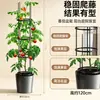 Soporte multifuncional para plantas trepadoras ZhiXiao hecho de tubo de acero con recubrimiento, soporte para flores de rosa, soporte para macetas de jardinería, soporte para trepadoras de clemátide