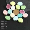 Serie de Animales Marinos Cuentas de Cerámica Hechas a Mano DIY Joyería Accesorios para Ropa Cuentas Manuales Collar Llavero Material Cuentas Sueltas