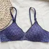 Comércio Exterior Transfronteiriço Roupa Íntima Feminina Bolinhas Fina Duas Fileiras de Colchetes Sem Aro Confortável Sutiã Push-Up Fabricante