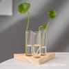 Simples Criativo Nórdico Tubo de Ensaio Ornamentos de Vaso de Vidro Moldura de Madeira Recipiente de Planta Hidropônica Decorações de Mesa para Casa