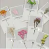 Tarjetas de Felicitación de Flores Secas Navideñas, Tarjetas de Cumpleaños de Año Nuevo, Recuerdos, Tarjetas del Día del Maestro y de Acción de Gracias, Tarjetas de San Valentín, Tarjetas de Felicitación de Flores Secas