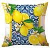 Funda de Almohada Geométrica de Verano de Limón para Amazon Transfronterizo Felpa Corta Cojín de Sofá para el Hogar Funda de Almohada Venta Directa de Fábrica