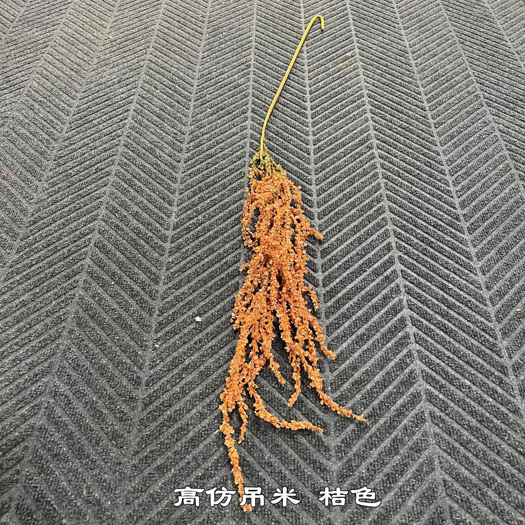 微信图片_20230401194336_副本.jpg