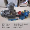 Bomba de Aceite de Engranajes de Hierro Fundido ZYB18.3/33.3/55/83.3 Alta Presión Alta Temperatura Eléctrica 220V380V Bomba de Aceite de Escoria