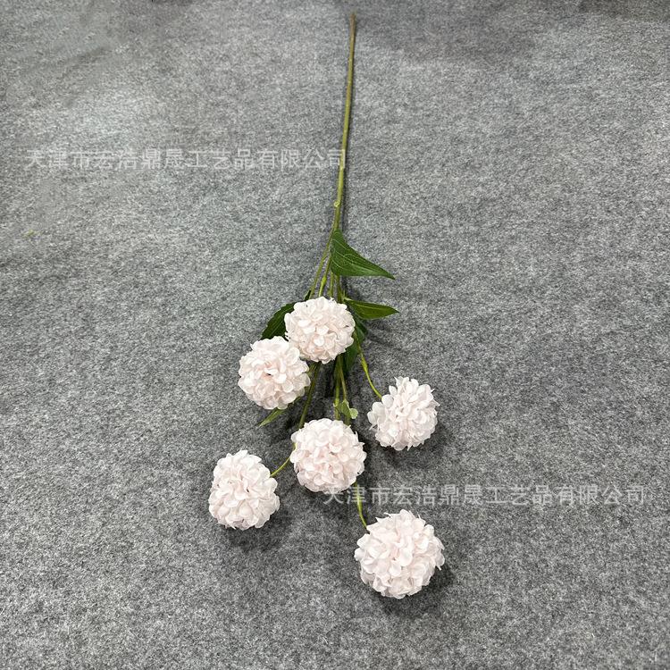 微信图片_202302211530077_副本