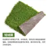 Musgo Fresco Decoración de Rocalla para Bonsái para Tanques Acuáticos y Terrestres, Material Vegetal de Superficie para Botella Ecológica de Micro-Paisaje, Verde y Blanco