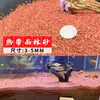 Arena de fondo para acuario, piedras decorativas, juego completo de piedras florales de lluvia ecológicas naturales, piedras luminosas y piedras en bruto