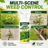 Rociador Herbicida para Césped KineShineX, Removedor de Malezas para Jardín, Eliminador de Dientes de León y Malezas para Espacios en Jardines y Bordes de Carretera