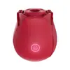 Vibrador de caballero sarga palo de masaje vibrador bala recargable vibrador de onda Messenger dispositivo de masturbación femenina