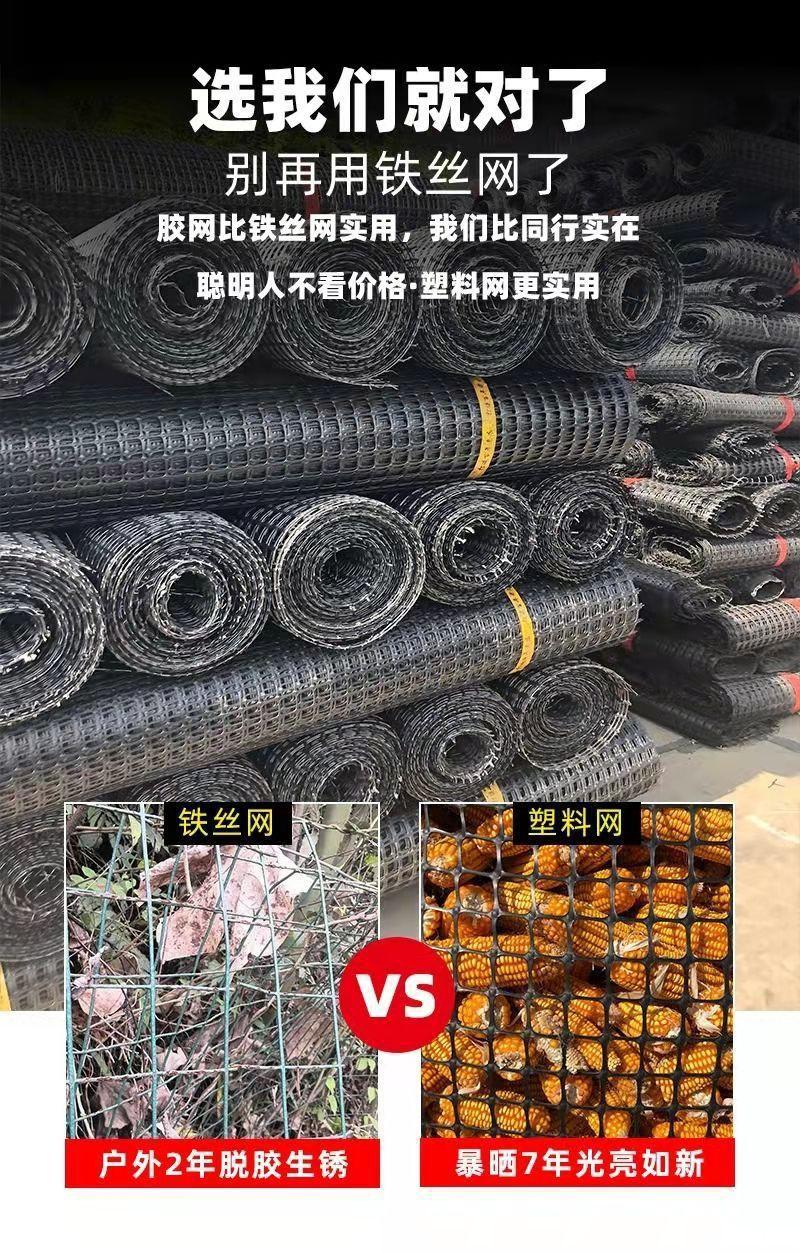 展示2