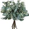 Flores Artificiais DIY Galhos Curtos Eucalipto Simulado Transfronteiriço Eucalipto Decorativo com Fruto Folhas de Eucalipto Plantas Verdes Simuladas