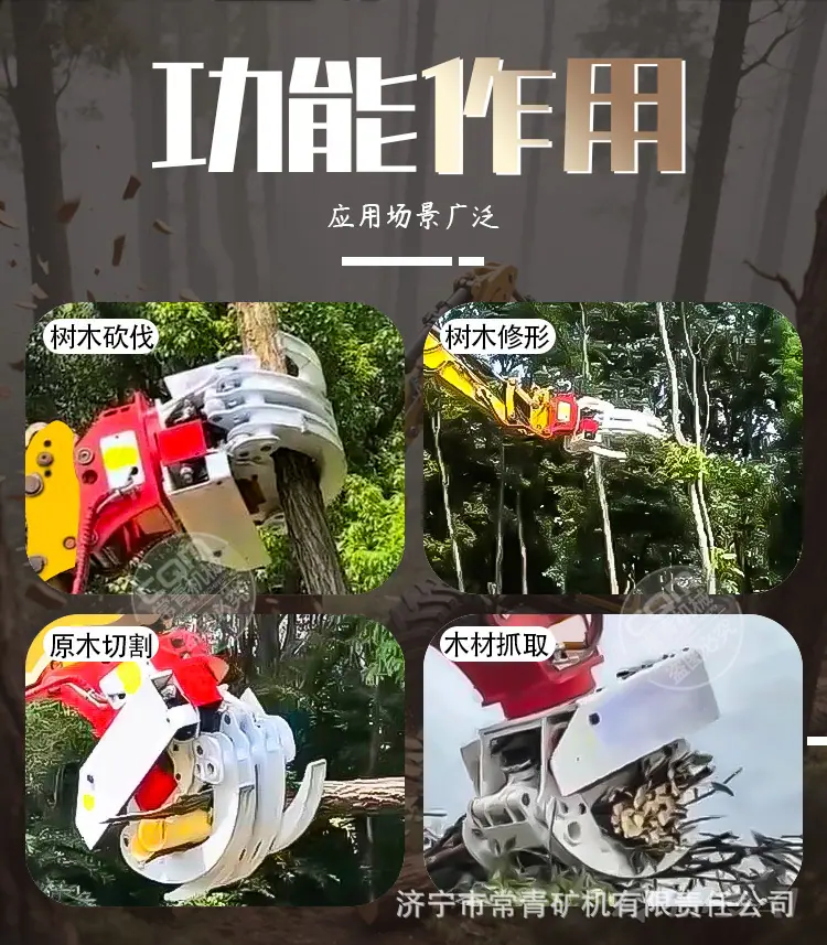 xiangqingye_03.jpg