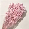 Flor Eterna Grama de Cristal Fabricante Atacado Transfronteiriço DIY Cúpula de Vidro Casamento Materiais Florais Festival Qixi Ins Flores Reais