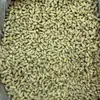 Cápsulas Redondas de Ginseng Canadiense Americano, Cabezas de Ginseng Americano, Raíces Enteras de Ginseng Americano, Cápsulas de Ginseng Americano al por Mayor y Dropshipping