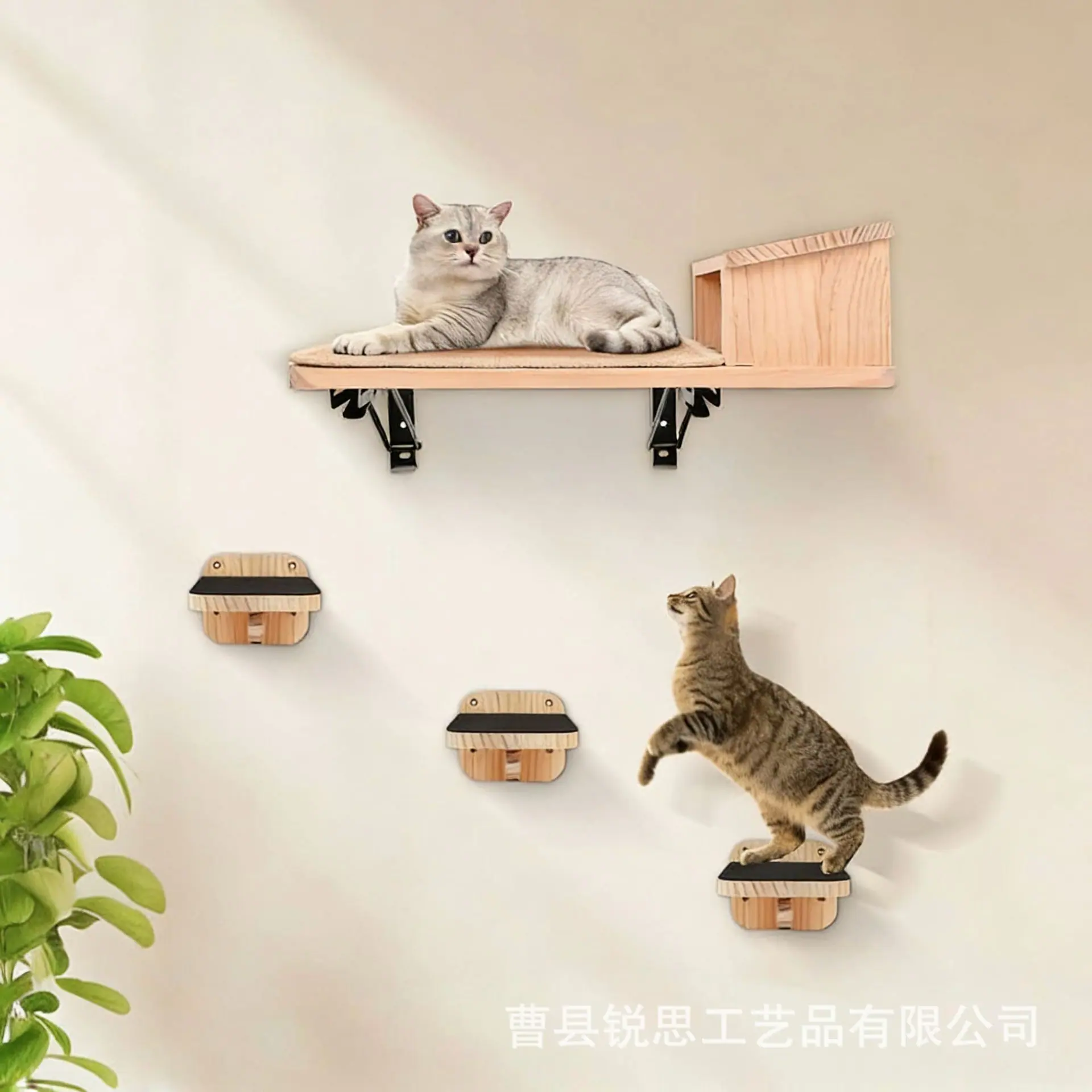 微信图片_20251205204327_8746_146.p