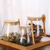 Pote de Vidro Transparente de Grande Capacidade para Grãos e Lanches com Tampa de Colher, Recipiente para Chá, Pote de Armazenamento, Pote de Vidro para Armazenamento
