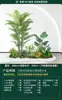Set de Paisajismo Simulado para Exhibidores de Ventanas Interiores, Decoración de Escaleras, Paisaje de Plantas Verdes Simuladas, Arreglo de Jardín, Adornos de Decoración de Plantas en Maceta