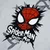 Novos pijamas 100% algodão 2026, conjunto de pijama para casa para primavera e outono, conjunto de pijama de duas peças com personagem de desenho animado Homem-Aranha