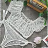 Lencería Erótica Transfronteriza Malla Transparente Patrón de Corazón Cuello en U Hombro Descubierto Bustier Corto con Conjunto de Bragas 4216