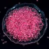 Cuentas acrílicas pequeñas y planas, suministros de manualidades DIY para hacer juguetes antiestrés, cuentas de cristal transparentes de colores