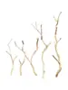 Madera en bruto, ramas secas, ramas marchitas, materiales para arreglos florales, materiales de paisajismo, mobiliario suave, decoraciones de techo creativas para interiores, jarrones para arreglos florales y adornos de madera seca