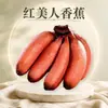 Plátano Rojo Belleza de Fujian, disponible para entrega 1/3/ 2.5kg Plátano grande de piel roja, dulce, suave y pegajoso, fruta fresca de temporada