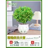 Planta en Maceta Flor de Milán, Planta de Interior con Flores y Capullos, Planta Verde Repelente de Mosquitos, Bonsái de Tocón Viejo, Planta de Floración Cuatro Estaciones, Fragante y Fácil de Cuidar