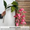 Flor artificial serie Rosa Roja, flor falsa para boda, flor de seda, flor hecha a mano, fondo para salón de bodas, pared de flores, arreglo floral, decoración, hortensia