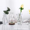 Ins estilo estilo nórdico pequeno vaso transparente decoração de vidro fresco sala de estar flor seca arranjo de flores decoração de mesa