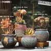 Vasos de Cerâmica Bruta Sem Esmalte para Flores Frescas com Características Zen Criativas, Novo Conjunto Respirável para Plantas Suculentas, Frete Grátis