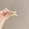 Accesorios para el Cabello de Aleación de Zinc Mariposa Pinza Pequeña Pinza Superior de Cabeza de Princesa Pinza para la Mitad del Cabello Trasera de Temperamento Pinza Lateral Frontal para Mujer