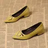 Sapatos de Salto Grosso para o Dia a Dia 2026 Primavera/Verão Novos Saltos Altos Femininos Boca Rasa Versáteis de Couro Bico Fino Solado Macio Sapatos de Trabalho