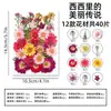 Marcapáginas de flores secas especímenes colección de primavera en botella de película plástica materiales hechos a mano para manualidades estudiantes de primaria flores transparentes