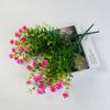 Ramo de rosas de siete puntas de camelia de eucalipto de simulación transfronteriza, flores de simulación de Amazon, decoración del hogar, aprobación directa de fábrica de flores