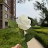 Rosa de Tallo Único con Borde Quemado para Decoración de Salón de Bodas, Flor Artificial de Alta Gama para Pared de Flores, Decoración del Hogar, Ambiente de Restaurante